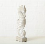 Seahorse Ozeana - Image 2