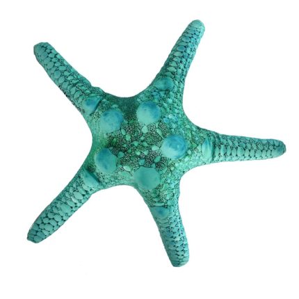 starfish