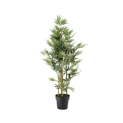 bamboo