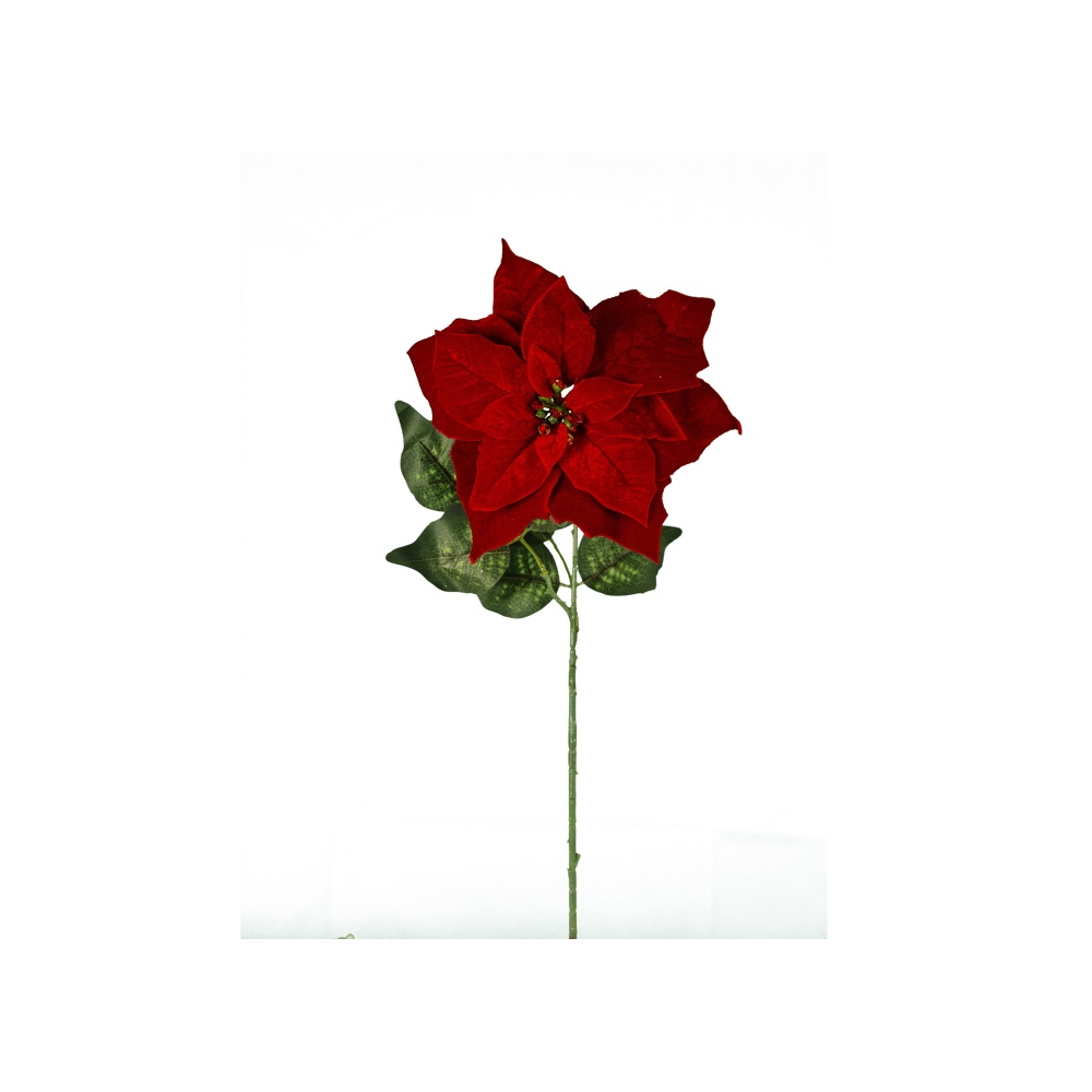 xmas