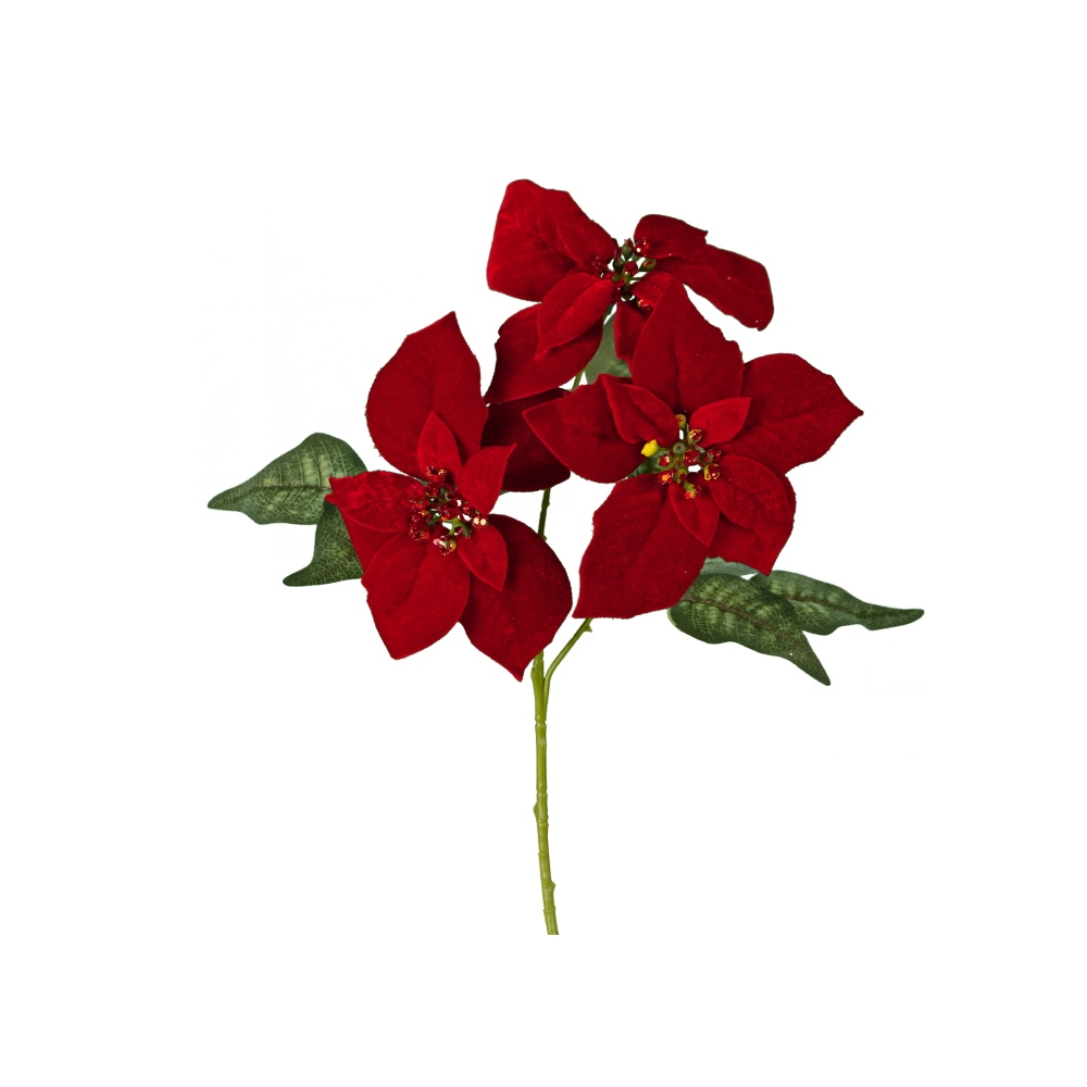 xmas