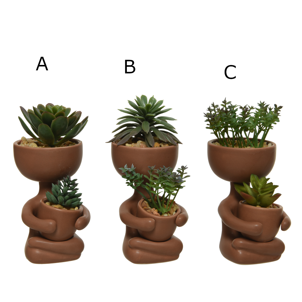 801325 plant
