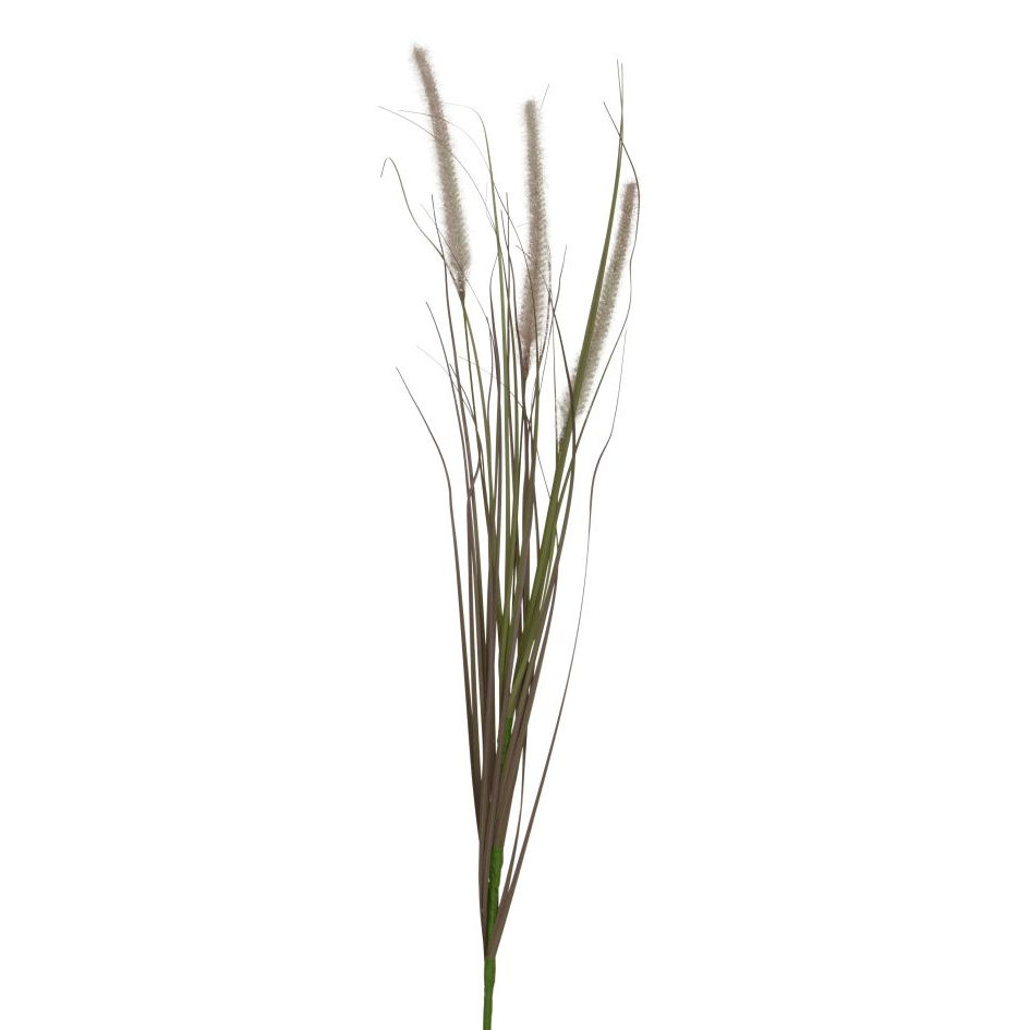 801245 plant