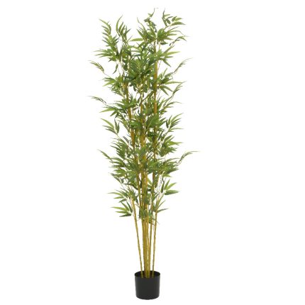 bamboo