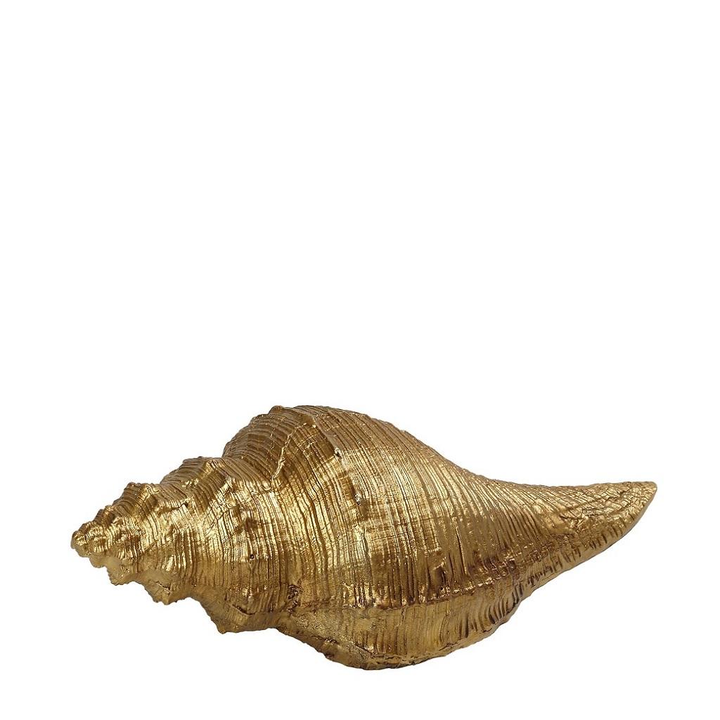 shell