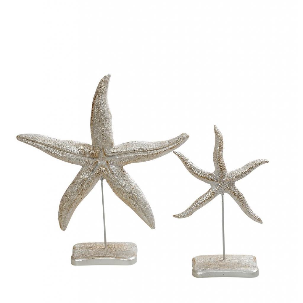 star fish
