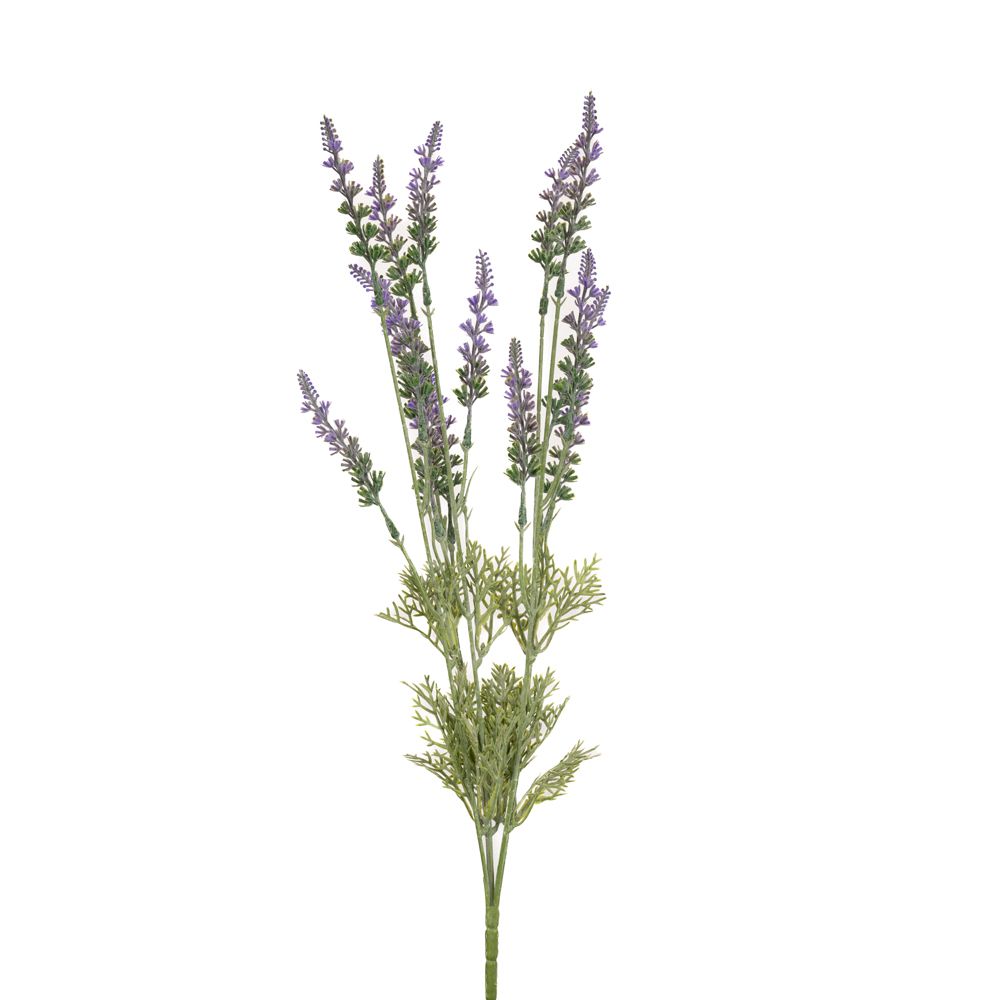 86039 flower
