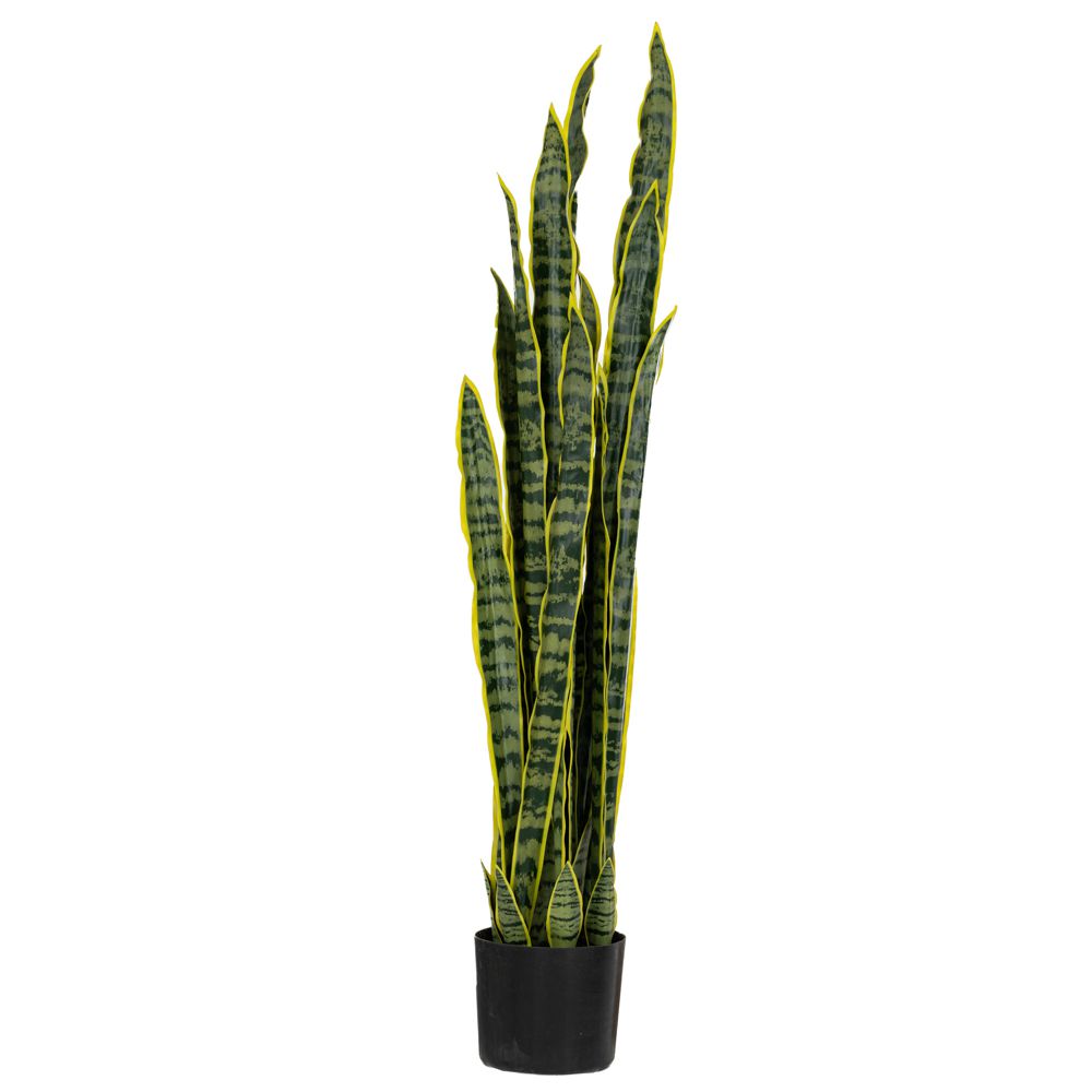 89788 plant