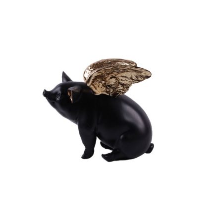 pig