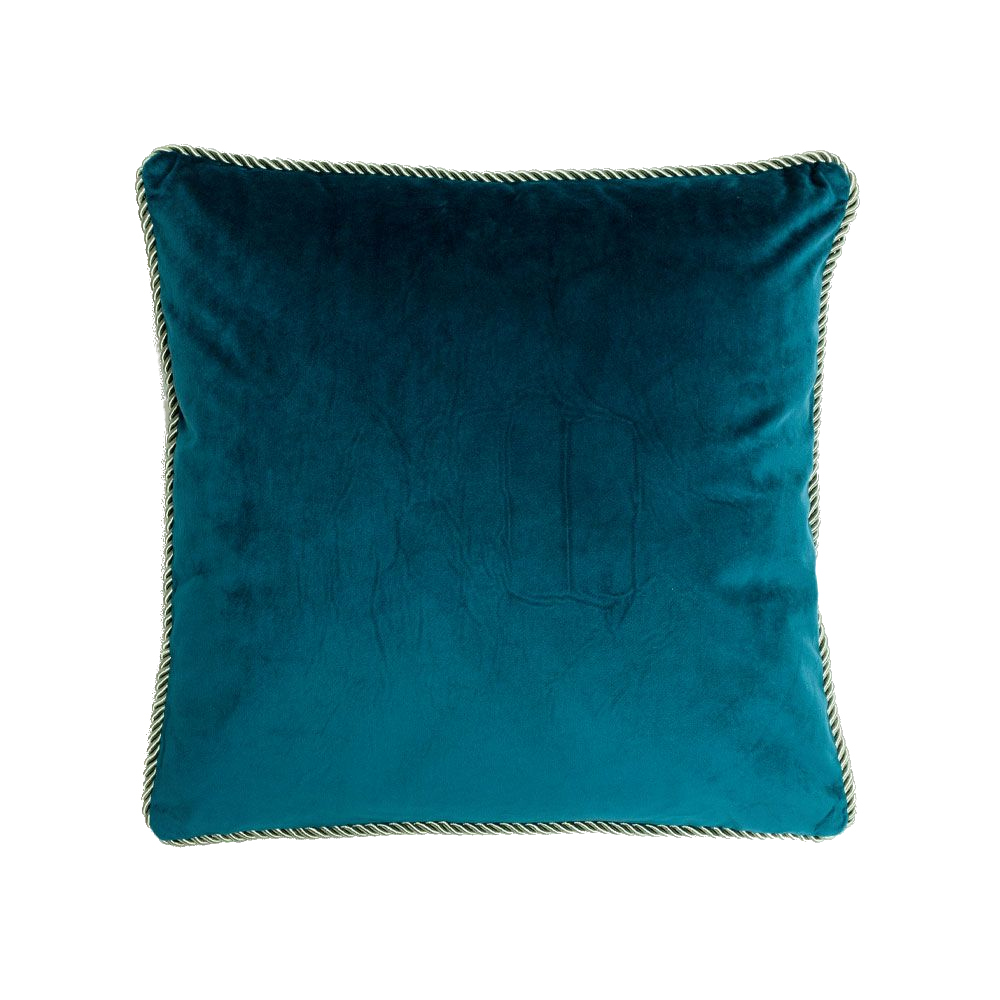 018886-RAdLw-first-_1 cushion