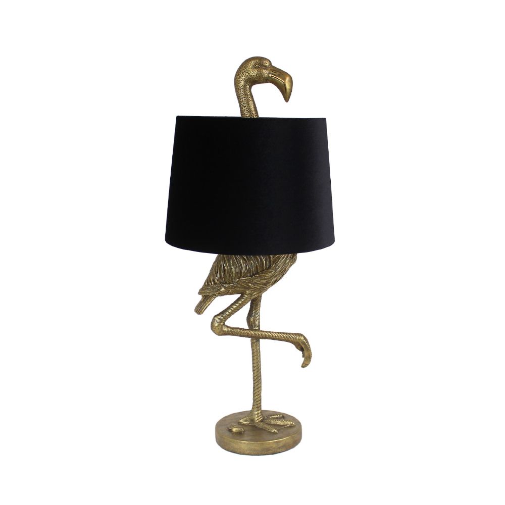 023101-yZE6z-first-_1 lamp