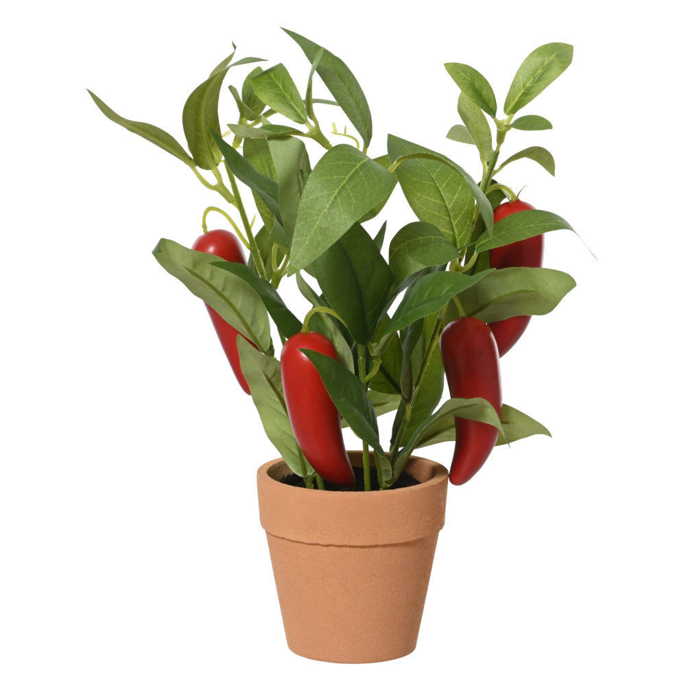 874592 chili