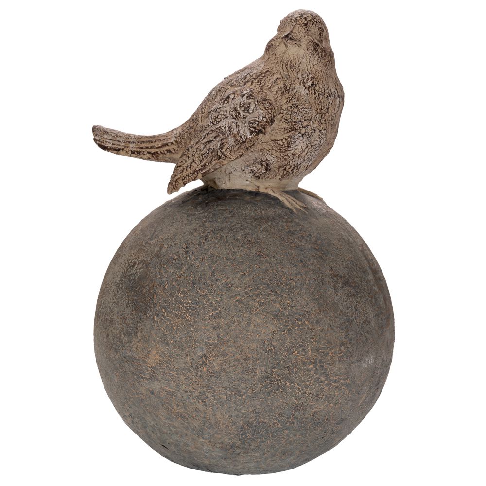 89447 bird