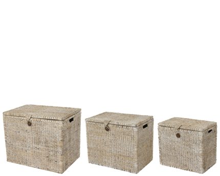 basket