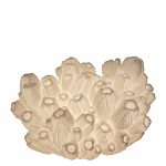 shell lamp