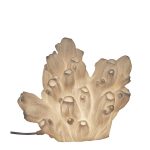 shell lamp