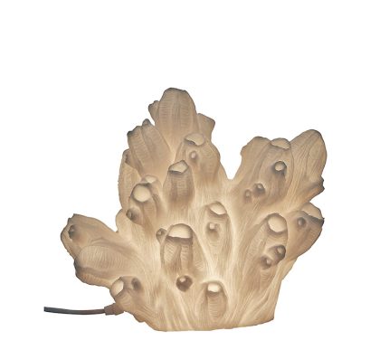 shell lamp