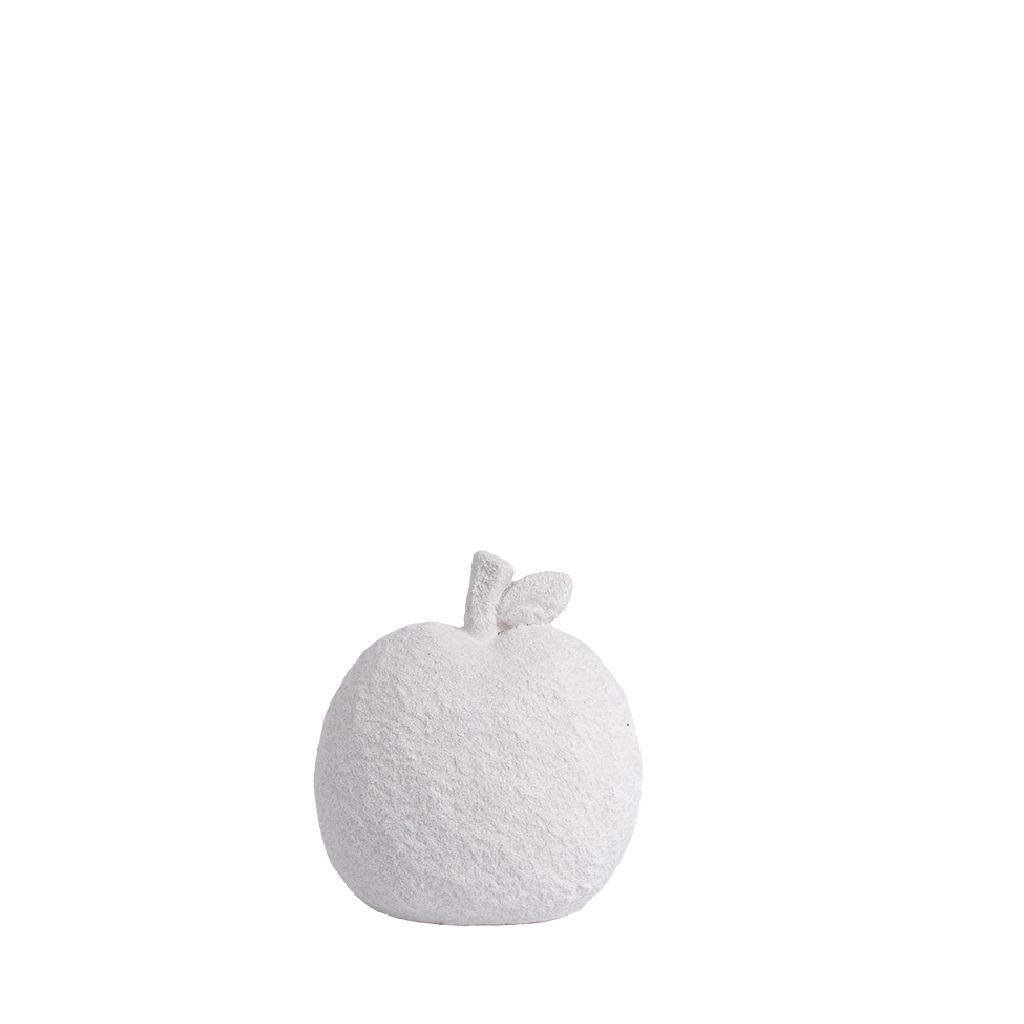 NAG111K4 apple