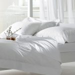 KENTIA - Image 2