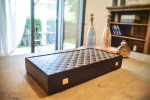 Backgammon