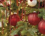 xmas