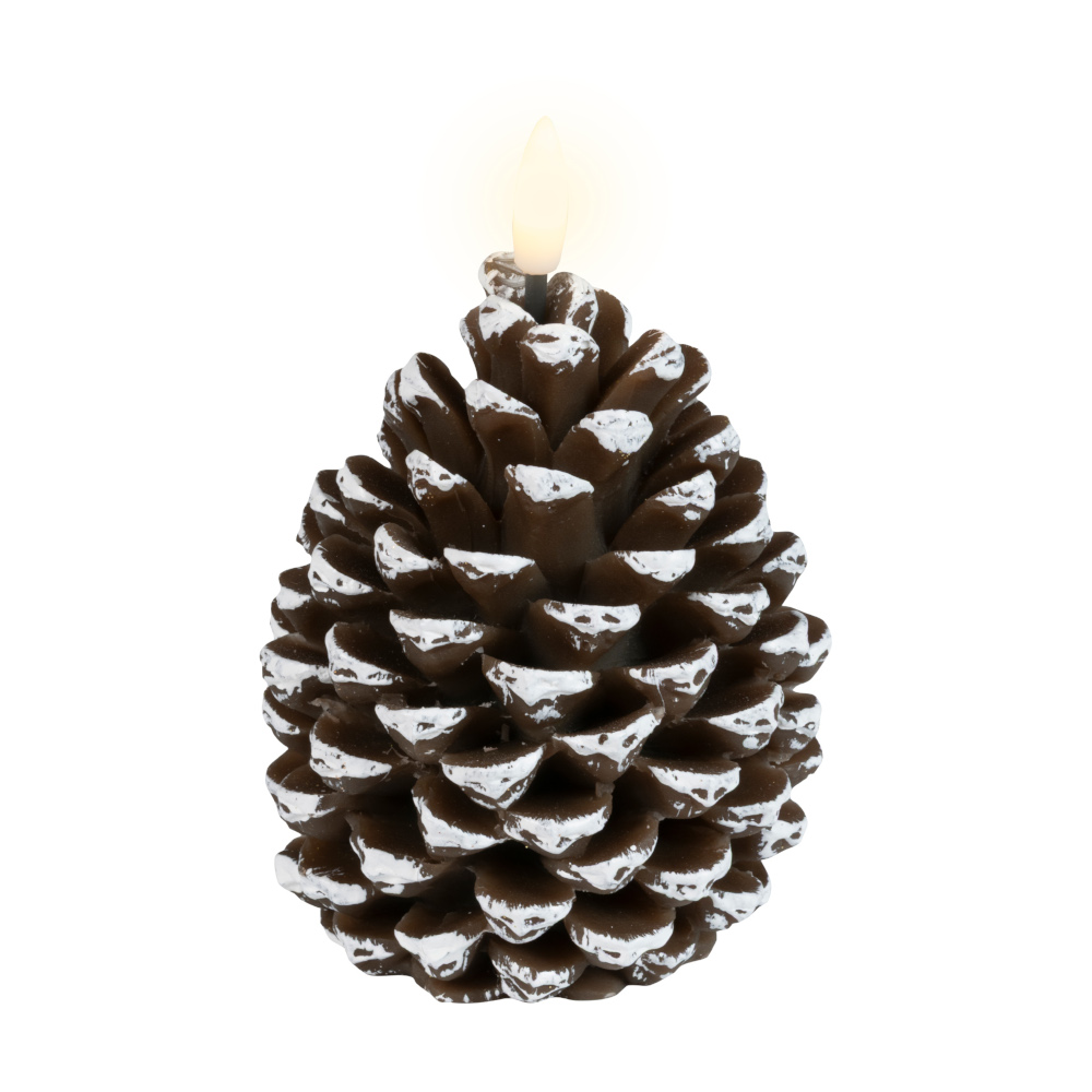 481559s1 xmas