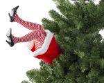 xmas